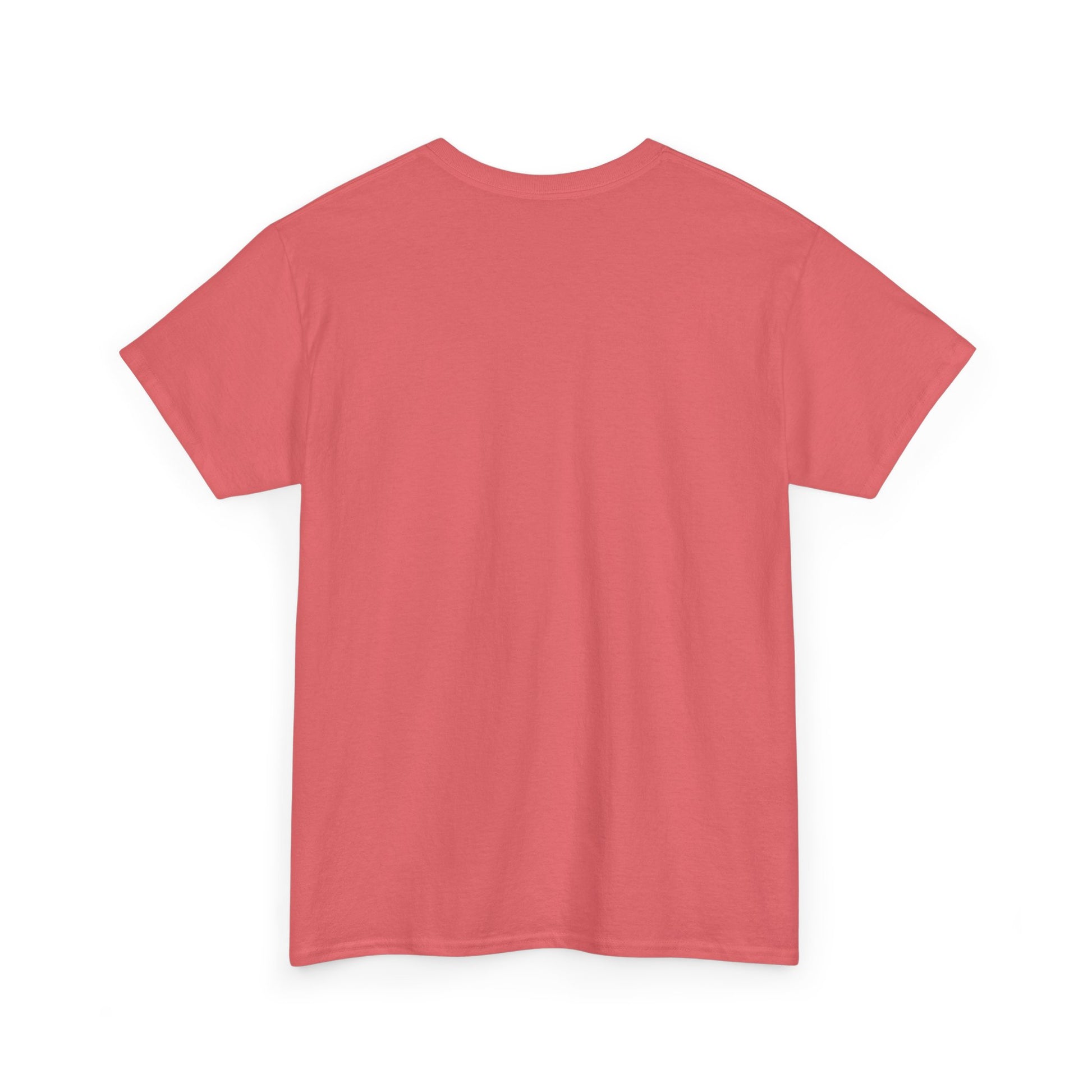 No money No b*tches Tee