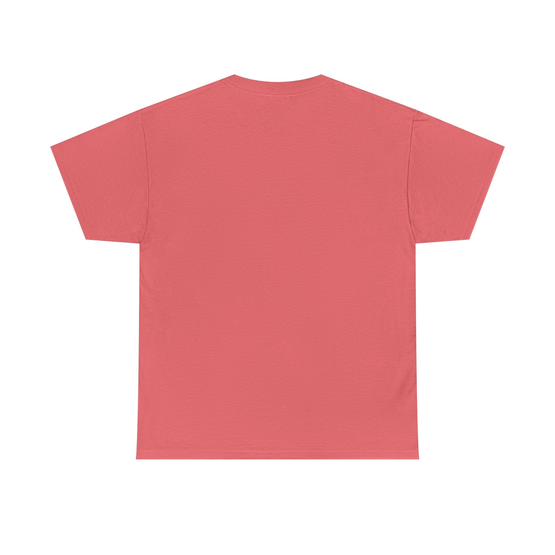 No money No b*tches Tee